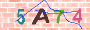 CAPTCHA Image